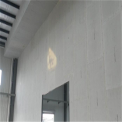 湖南宁波ALC板|EPS加气板隔墙与混凝土整浇联接的实验研讨